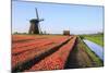 Red Tulip Fields and Blue Sky Frame the Windmill in Spring, Netherlands-Roberto Moiola-Mounted Photographic Print