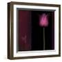 Red Tulip I-Rick Filler-Framed Giclee Print