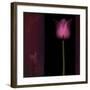 Red Tulip I-Rick Filler-Framed Giclee Print