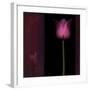 Red Tulip I-Rick Filler-Framed Giclee Print