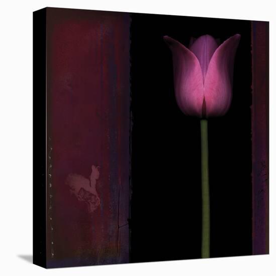 Red Tulip I-Rick Filler-Stretched Canvas