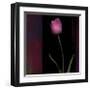 Red Tulip II-Rick Filler-Framed Giclee Print