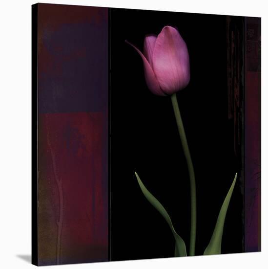 Red Tulip II-Rick Filler-Stretched Canvas