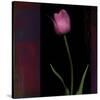 Red Tulip II-Rick Filler-Stretched Canvas