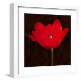 Red Tulip II-Christine Zalewski-Framed Art Print