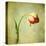 Red Tulip III-Judy Stalus-Stretched Canvas