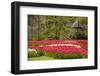 Red Tulip in Bloom-Richard T. Nowitz-Framed Photographic Print