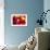 Red Tulip Inside Macro in Springtime-Radu Bercan-Framed Photographic Print displayed on a wall