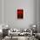 Red Tulip IV-Christine Zalewski-Premium Giclee Print displayed on a wall
