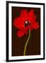 Red Tulip IV-Christine Zalewski-Framed Premium Giclee Print