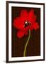 Red Tulip IV-Christine Zalewski-Framed Premium Giclee Print