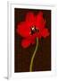 Red Tulip IV-Christine Zalewski-Framed Premium Giclee Print