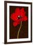 Red Tulip IV-Christine Zalewski-Framed Art Print