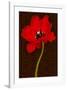 Red Tulip IV-Christine Zalewski-Framed Art Print