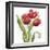 Red Tulip Splash II-Jade Reynolds-Framed Art Print