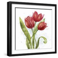 Red Tulip Splash II-Jade Reynolds-Framed Art Print