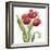 Red Tulip Splash II-Jade Reynolds-Framed Art Print