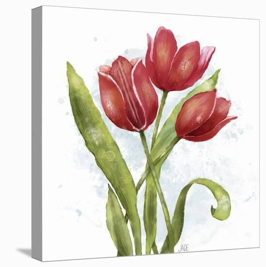 Red Tulip Splash II-Jade Reynolds-Stretched Canvas