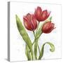 Red Tulip Splash II-Jade Reynolds-Stretched Canvas