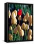 Red Tulip, Washington, USA-William Sutton-Framed Stretched Canvas