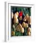 Red Tulip, Washington, USA-William Sutton-Framed Photographic Print