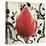 Red Tulip-Joadoor-Stretched Canvas