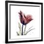 Red Tulip-Albert Koetsier-Framed Premium Giclee Print