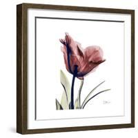 Red Tulip-Albert Koetsier-Framed Premium Giclee Print