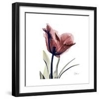 Red Tulip-Albert Koetsier-Framed Premium Giclee Print