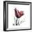 Red Tulip-Albert Koetsier-Framed Premium Giclee Print