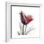 Red Tulip-Albert Koetsier-Framed Premium Giclee Print