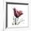 Red Tulip-Albert Koetsier-Framed Premium Giclee Print