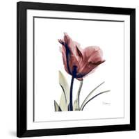 Red Tulip-Albert Koetsier-Framed Premium Giclee Print