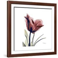 Red Tulip-Albert Koetsier-Framed Premium Giclee Print