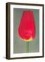 Red Tulip-null-Framed Art Print