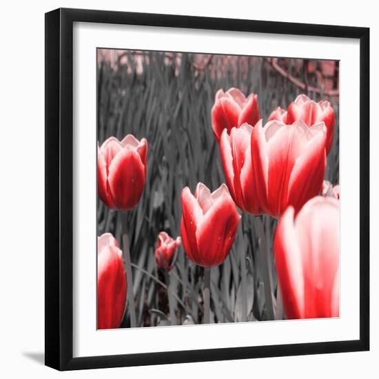 Red Tulips I-Emily Navas-Framed Photographic Print