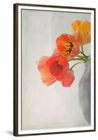 Red Tulips II-Judy Stalus-Framed Premium Giclee Print