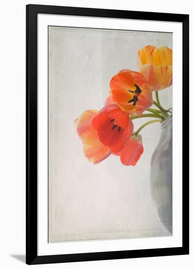 Red Tulips II-Judy Stalus-Framed Premium Giclee Print