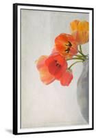 Red Tulips II-Judy Stalus-Framed Premium Giclee Print