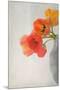 Red Tulips II-Judy Stalus-Mounted Premium Giclee Print