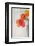 Red Tulips II-Judy Stalus-Framed Art Print