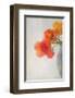 Red Tulips II-Judy Stalus-Framed Art Print