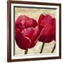 Red Tulips II-Cynthia Ann-Framed Art Print