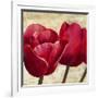 Red Tulips II-Cynthia Ann-Framed Art Print