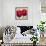 Red Tulips II-Cynthia Ann-Framed Art Print displayed on a wall