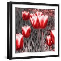 Red Tulips II-Emily Navas-Framed Premium Photographic Print