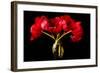 Red Tulips in a Glass Vase-Christine Zalewski-Framed Art Print