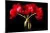 Red Tulips in a Glass Vase-Christine Zalewski-Mounted Art Print