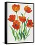 Red Tulips in Bloom I-Tim OToole-Framed Stretched Canvas