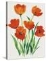 Red Tulips in Bloom I-Tim OToole-Stretched Canvas